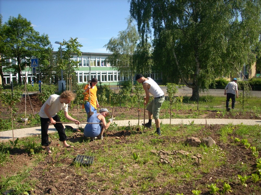 Mehrgenerationengarten – die erste Gartensaison